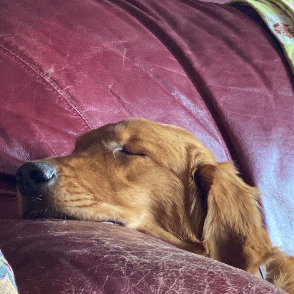 Meet your Posher, Ethan